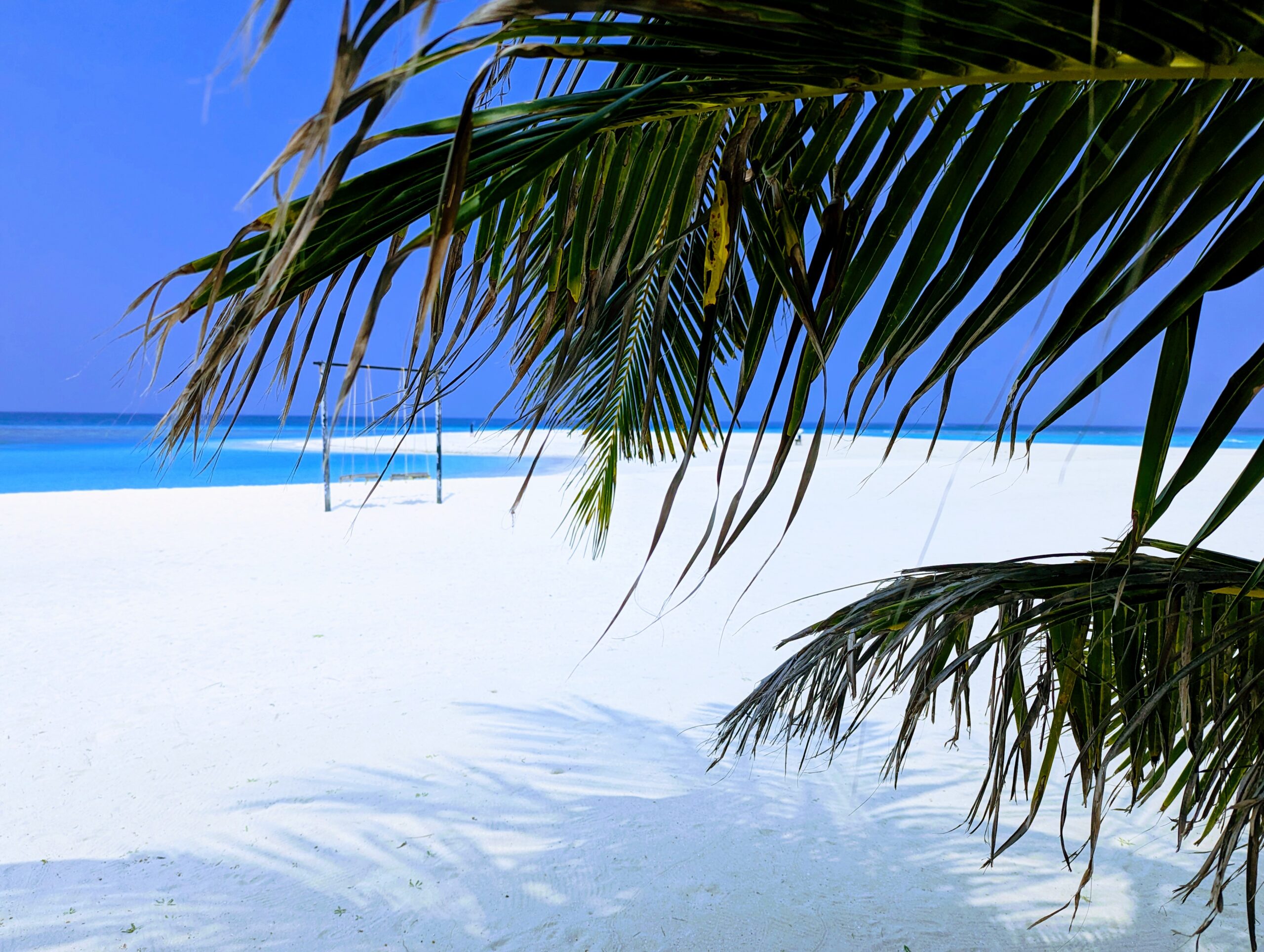 Reise 4